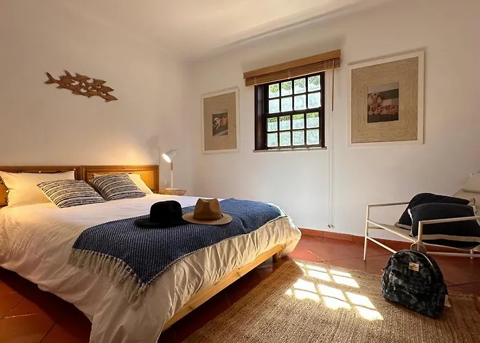 公寓 Amazing T3 -clube *